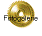 Fotogalerie